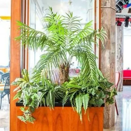 Brioni Mare Hotel Lido di Jesolo